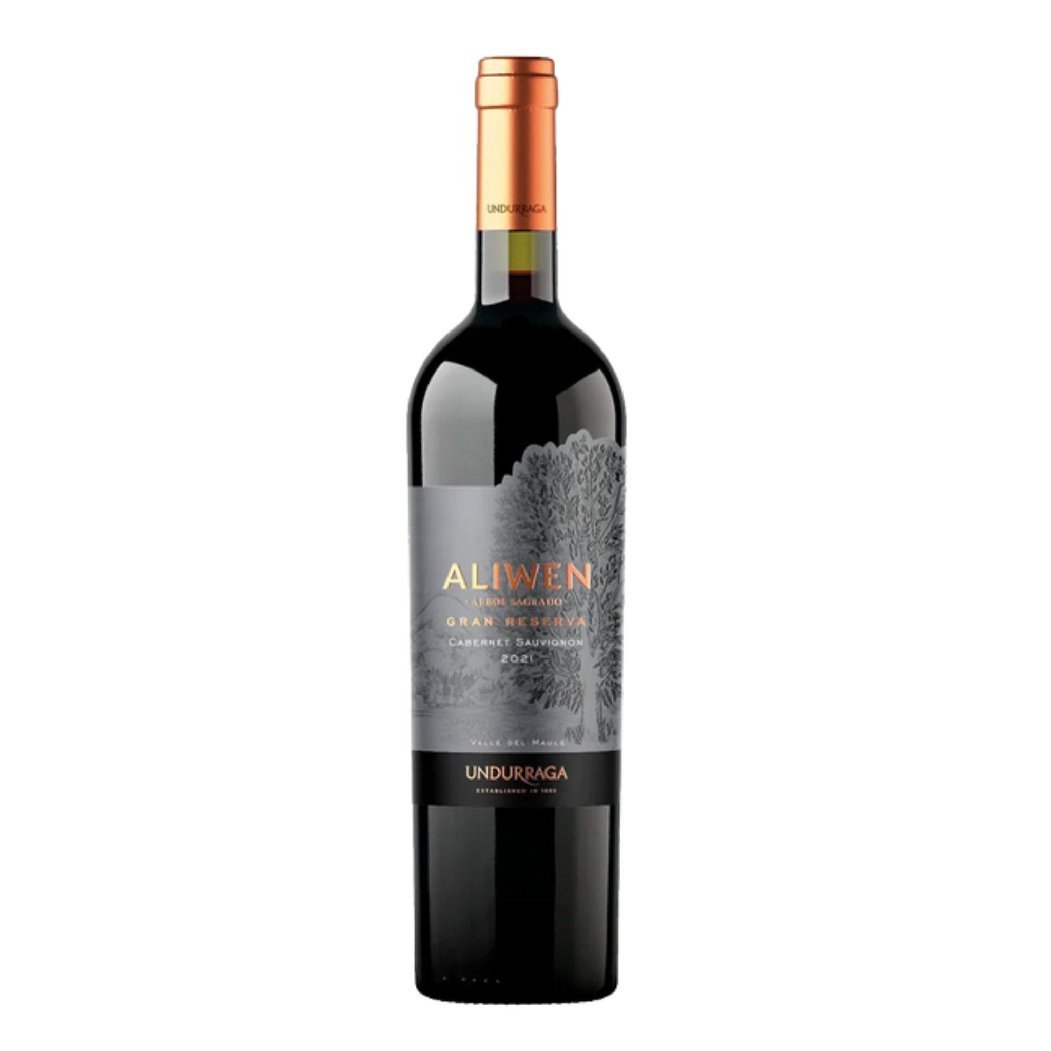 Vino Aliwen Gran Reserva Cabernet Sauvignon 750cc