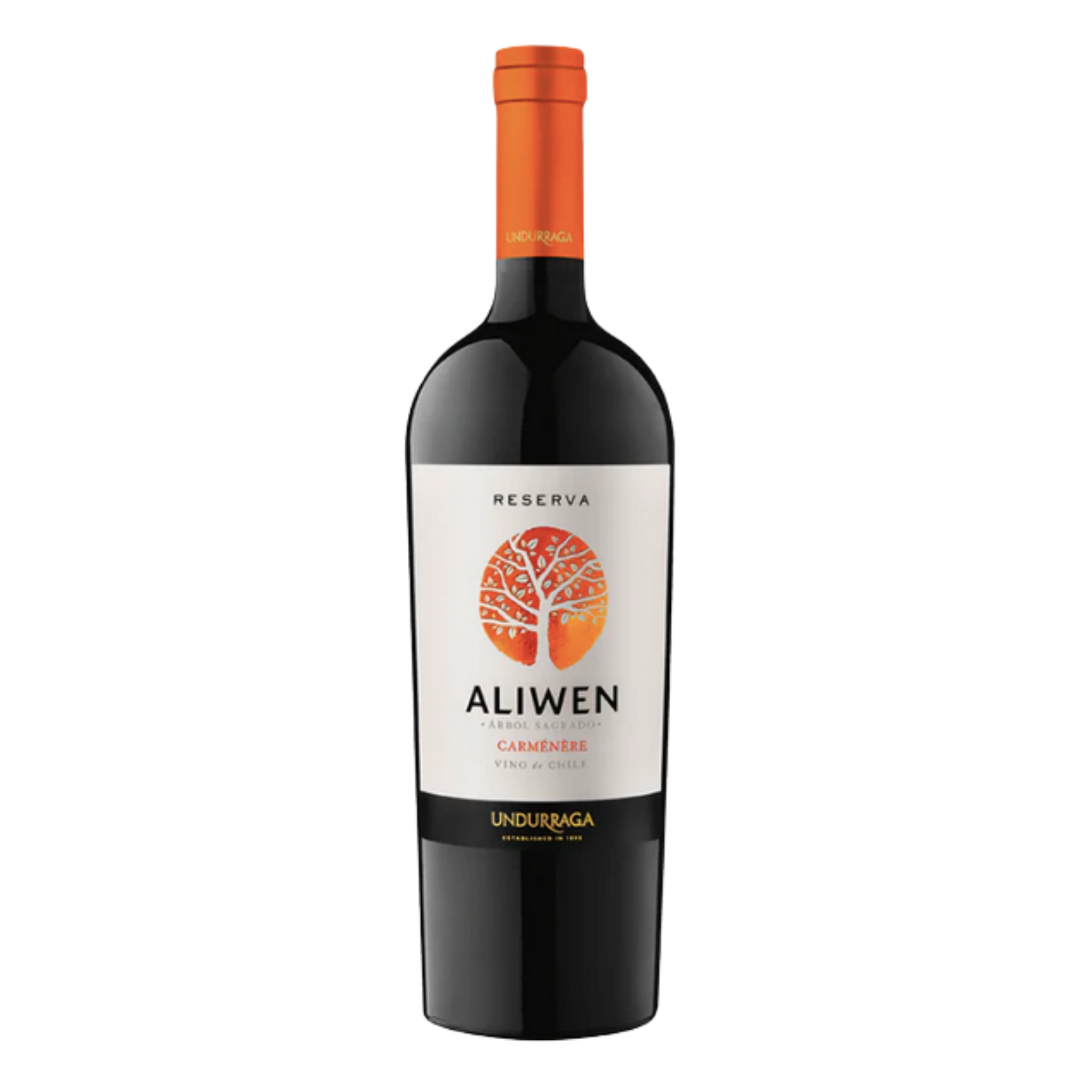 Vino Aliwen Reserva Carmenere 750cc