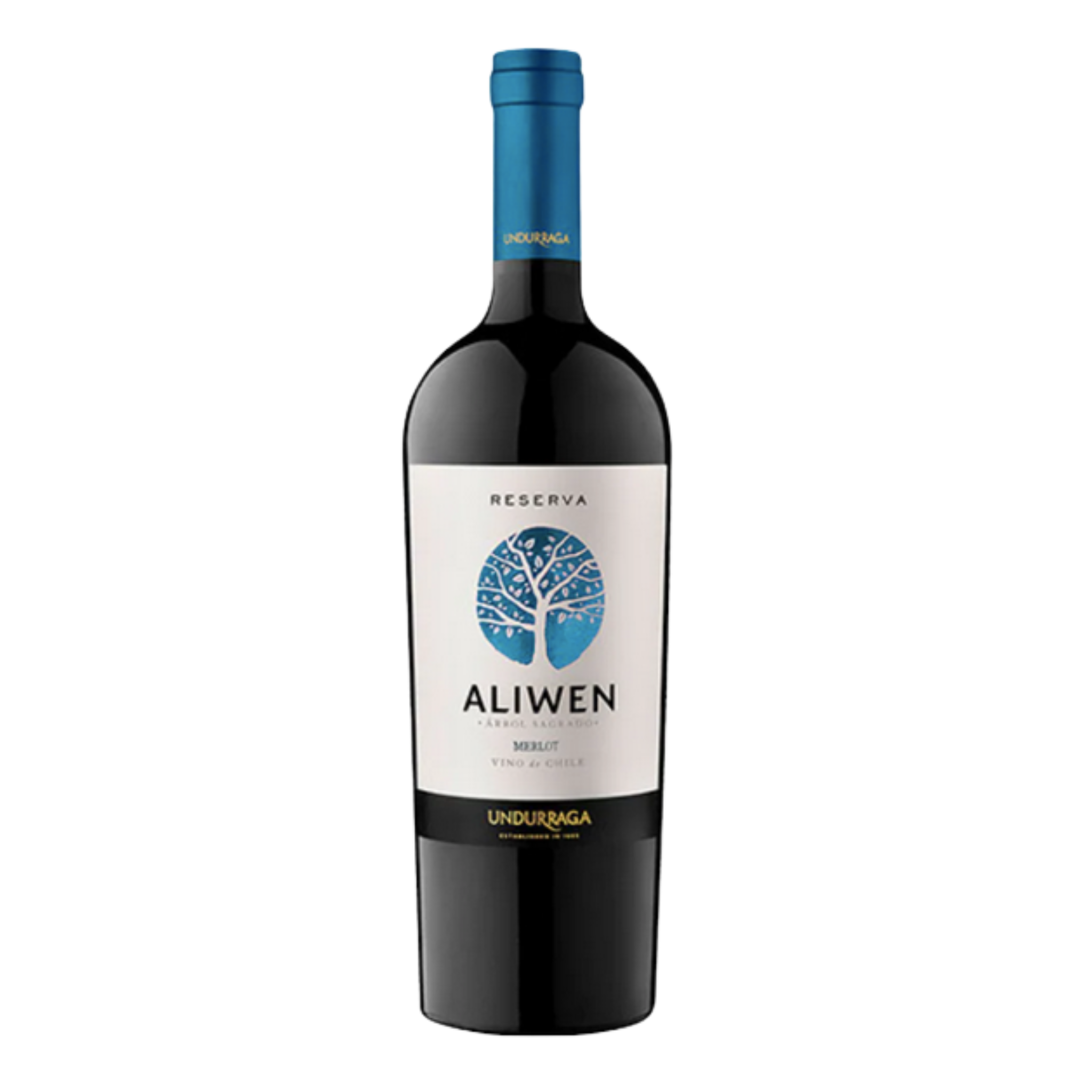 Vino Aliwen Reserva Merlot 750cc