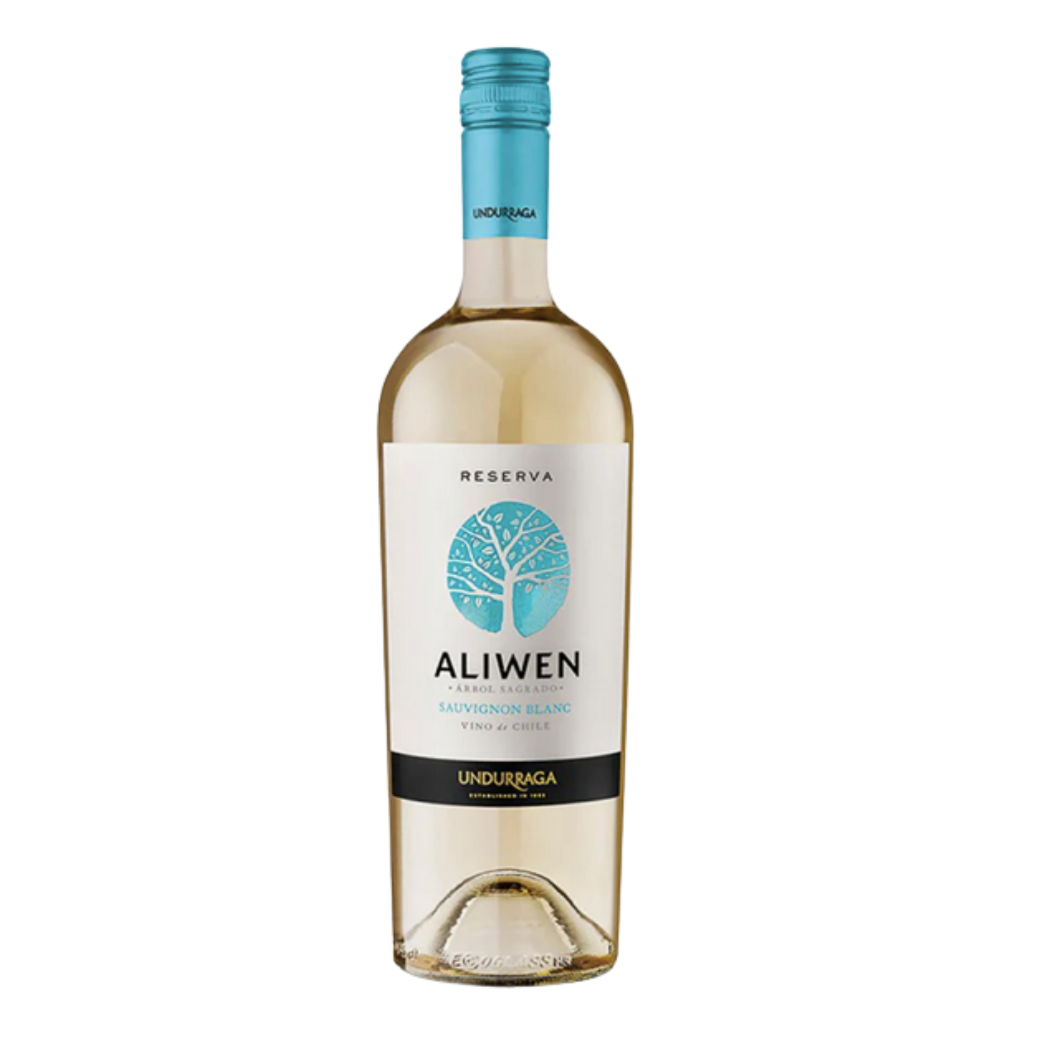 Vino Aliwen Reserva Sauvignon Blanc 750cc