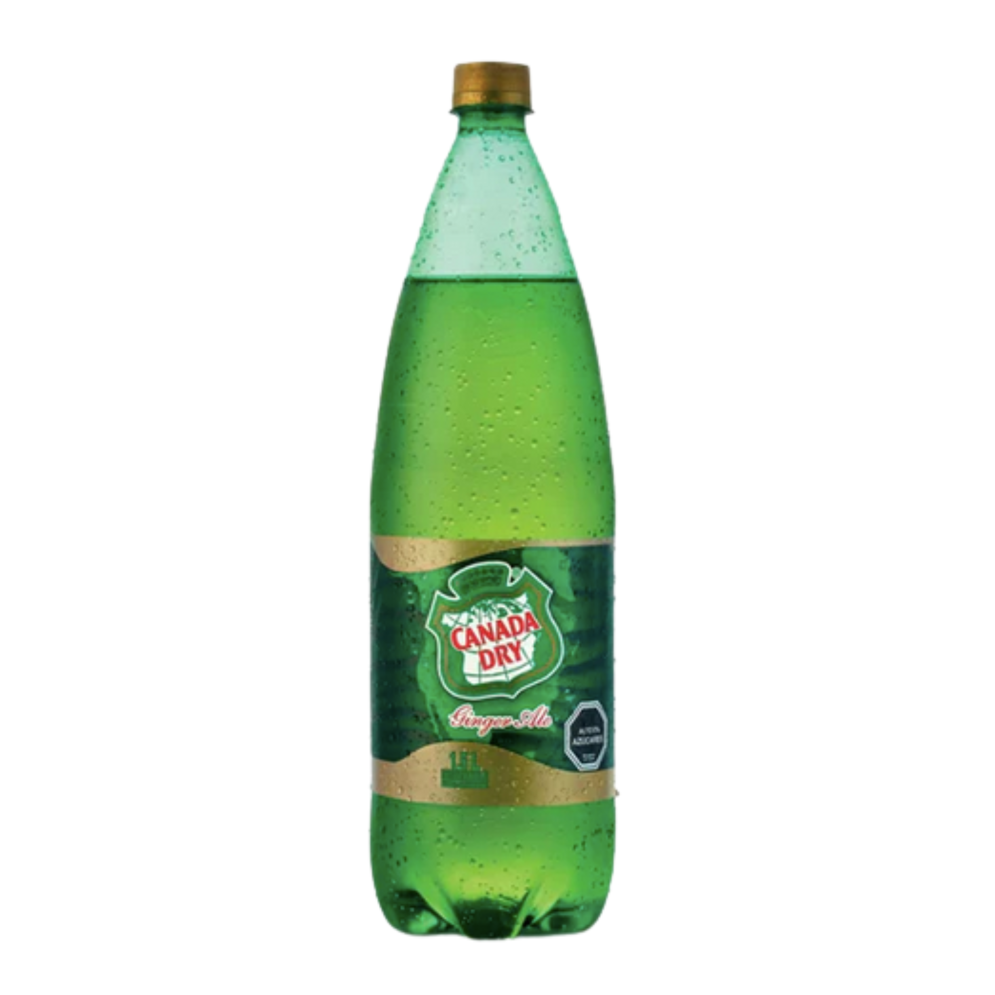 Bebida Ginger Ale Canada Dry 1500cc