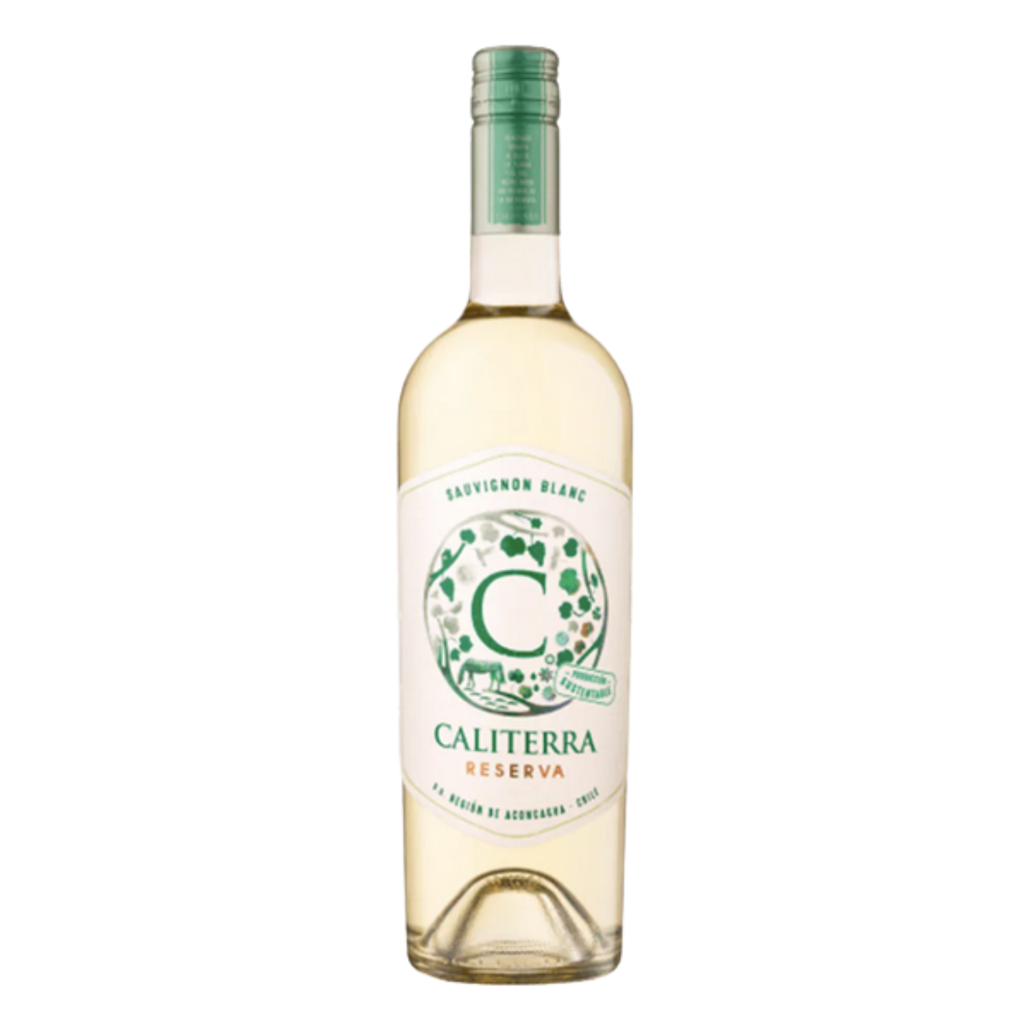Vino Caliterra Reserva Sauvignon Blanc 750cc
