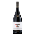 Vino Casillero del Diablo Reserva Shiraz 750cc