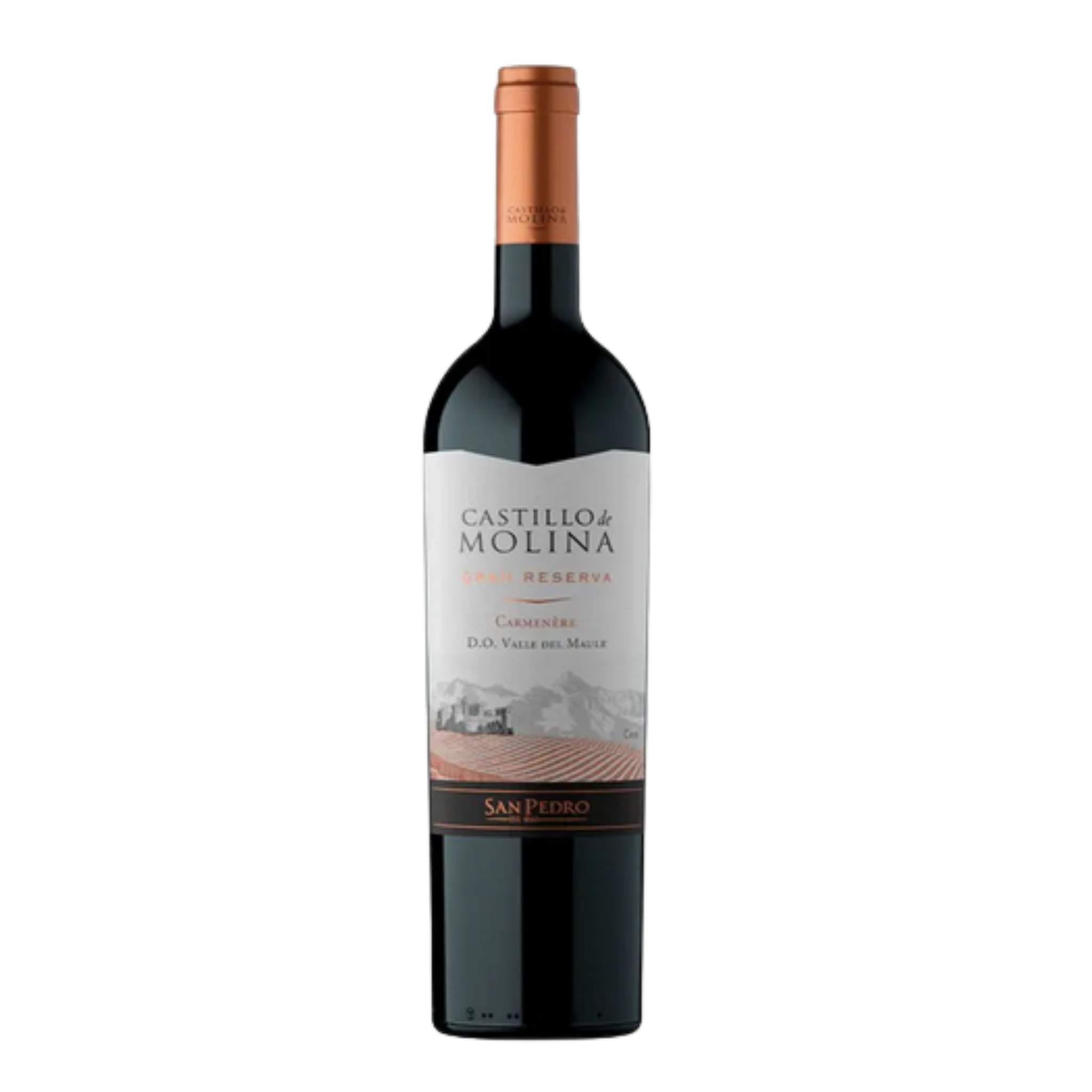 Vino Castillo de Molina Gran Reserva Carmenere 750cc