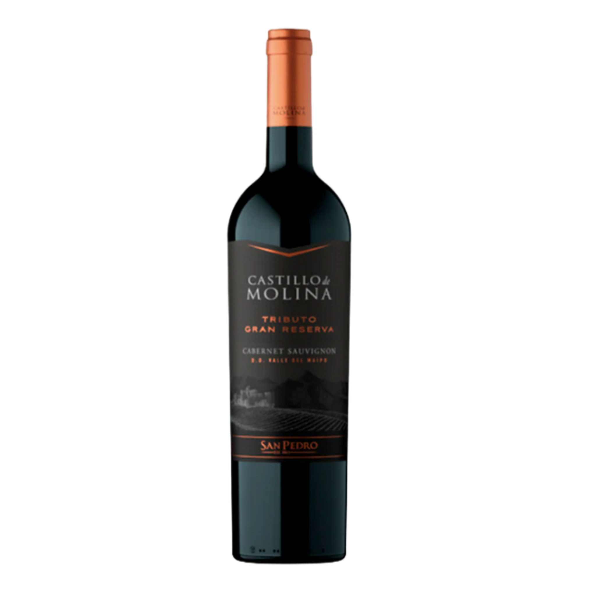 Vino Castillo de Molina Tributo Gran Reserva Cabernet Sauvignon 750cc