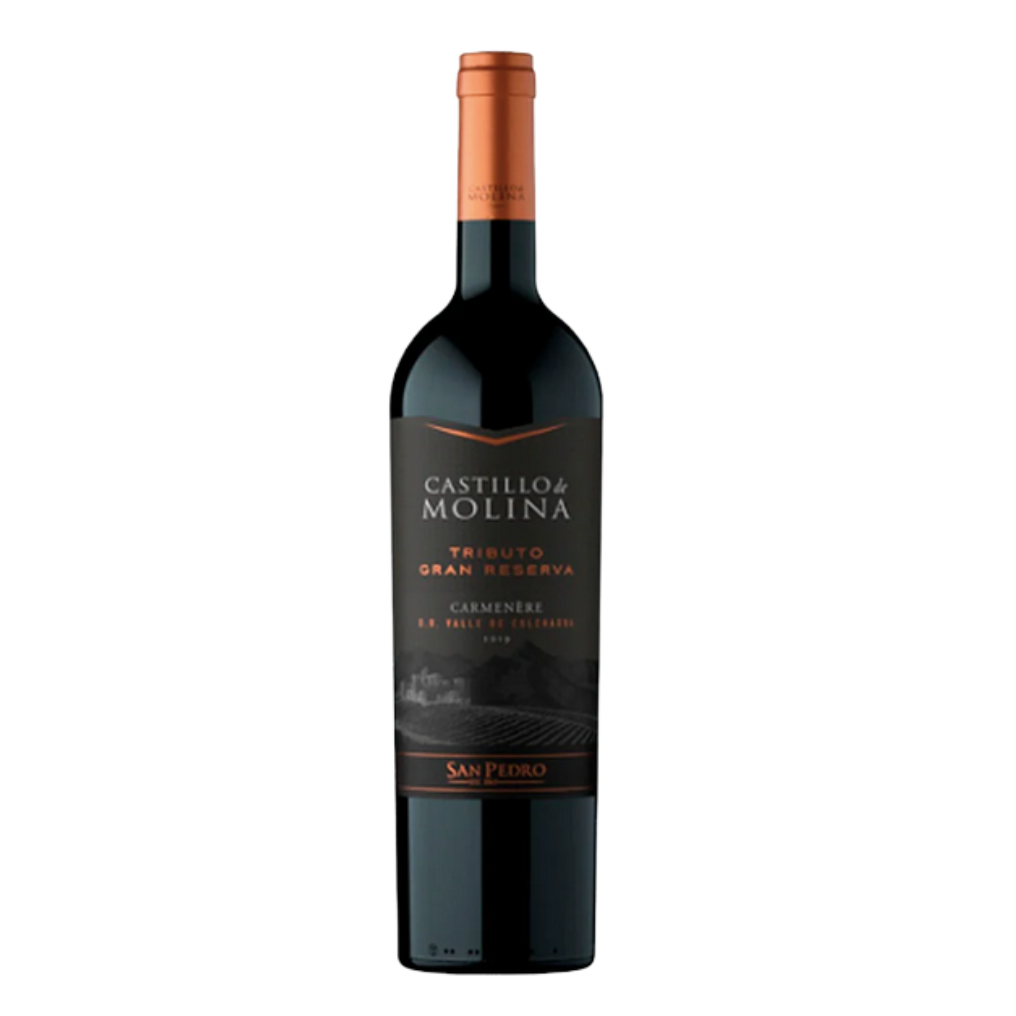 Vino Castillo de Molina Tributo Gran Reserva Carmenere 750cc